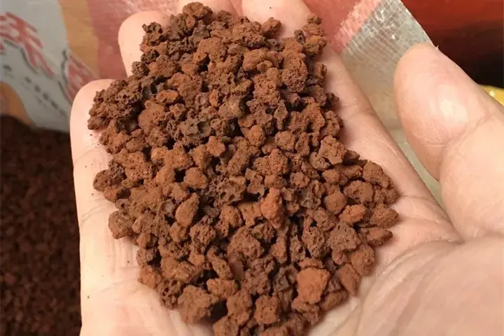 养多肉用什么土比较好