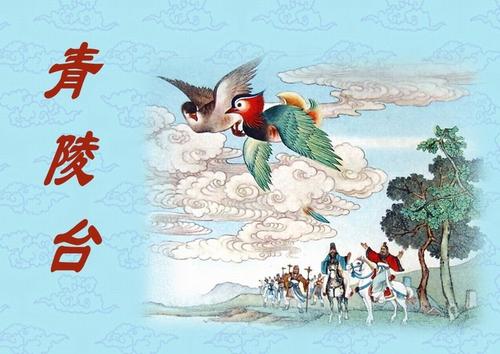 相思树又叫什么树(正宗相思树图片大全)