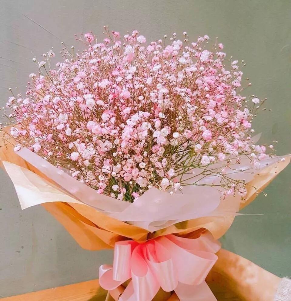 满天星的花语和寓意(讲解满天星的象征意义)