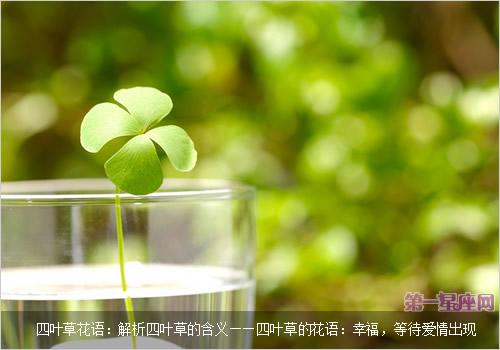四叶草的花语和寓意（关于四叶草的象征意义）