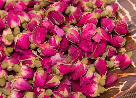 月季花是什么颜色的花瓣(关于月季花的简介和特点)