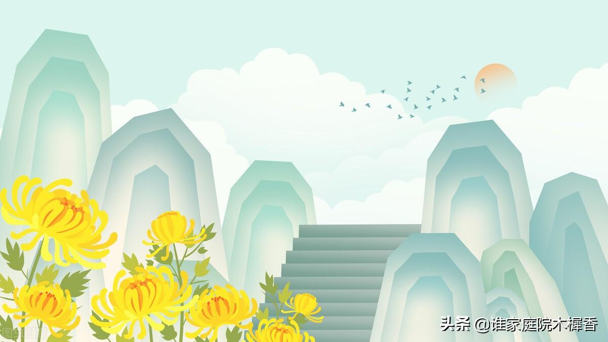 茱萸是什么植物(重阳节茱萸的含义)
