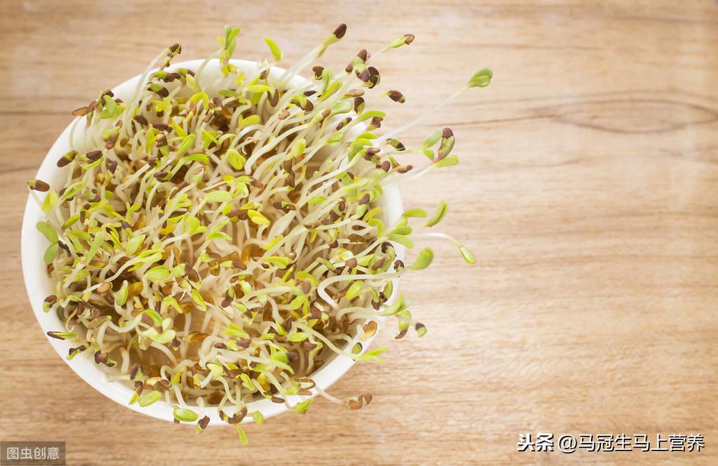 苜蓿是什么植物(种植苜蓿的成本与利润)
