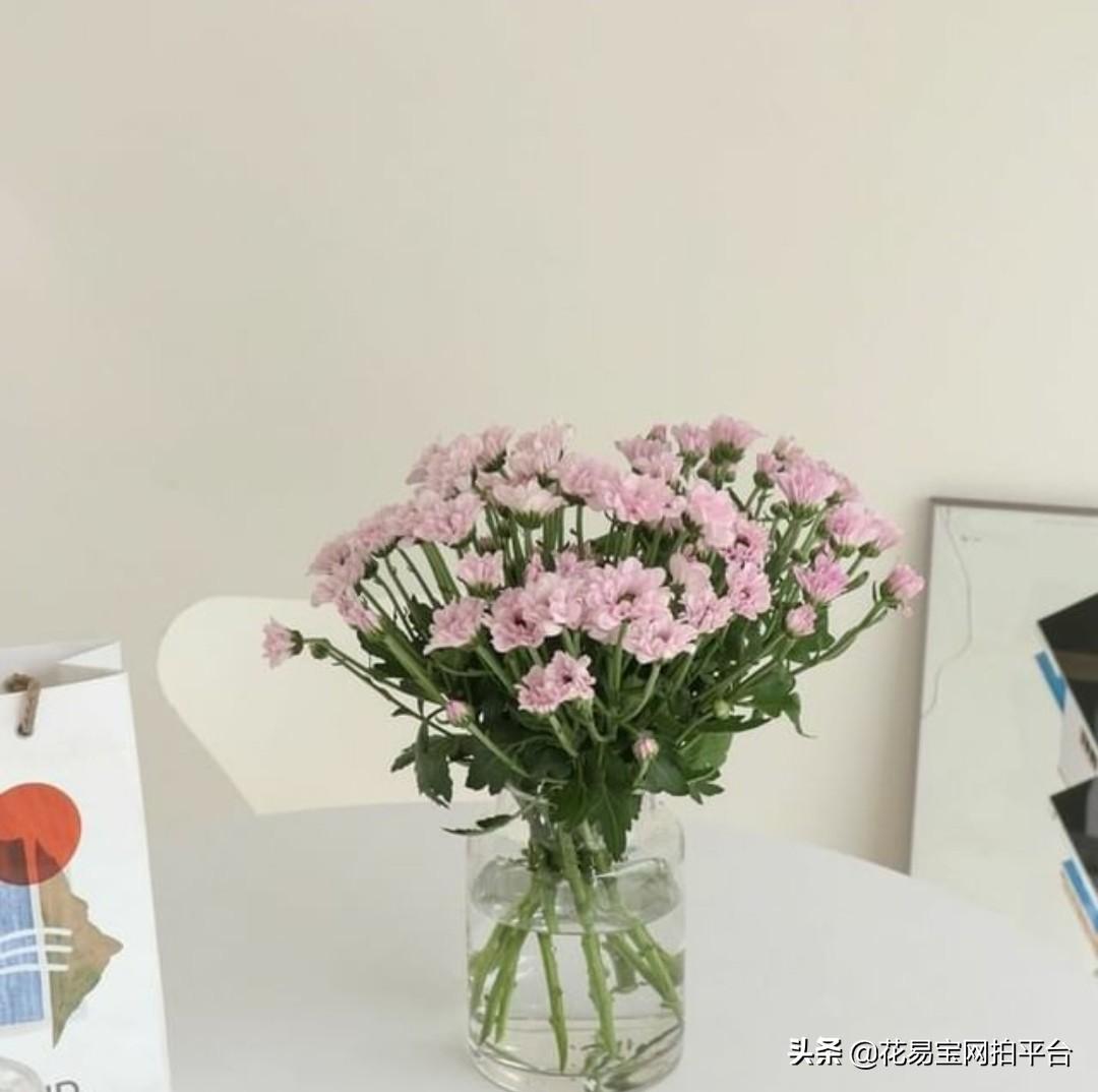 夏季鲜花如何保鲜存放