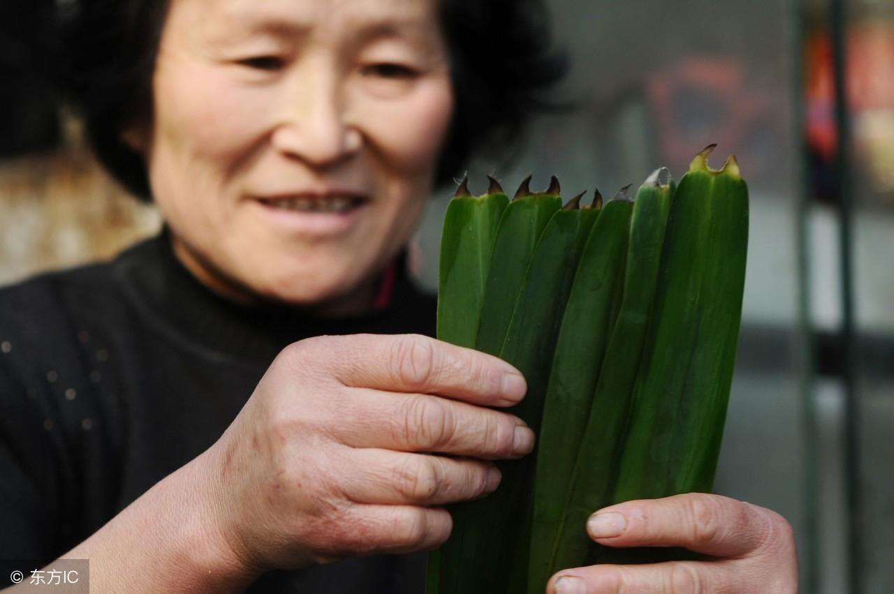 箬叶是什么意思(箬叶和粽叶的区别)