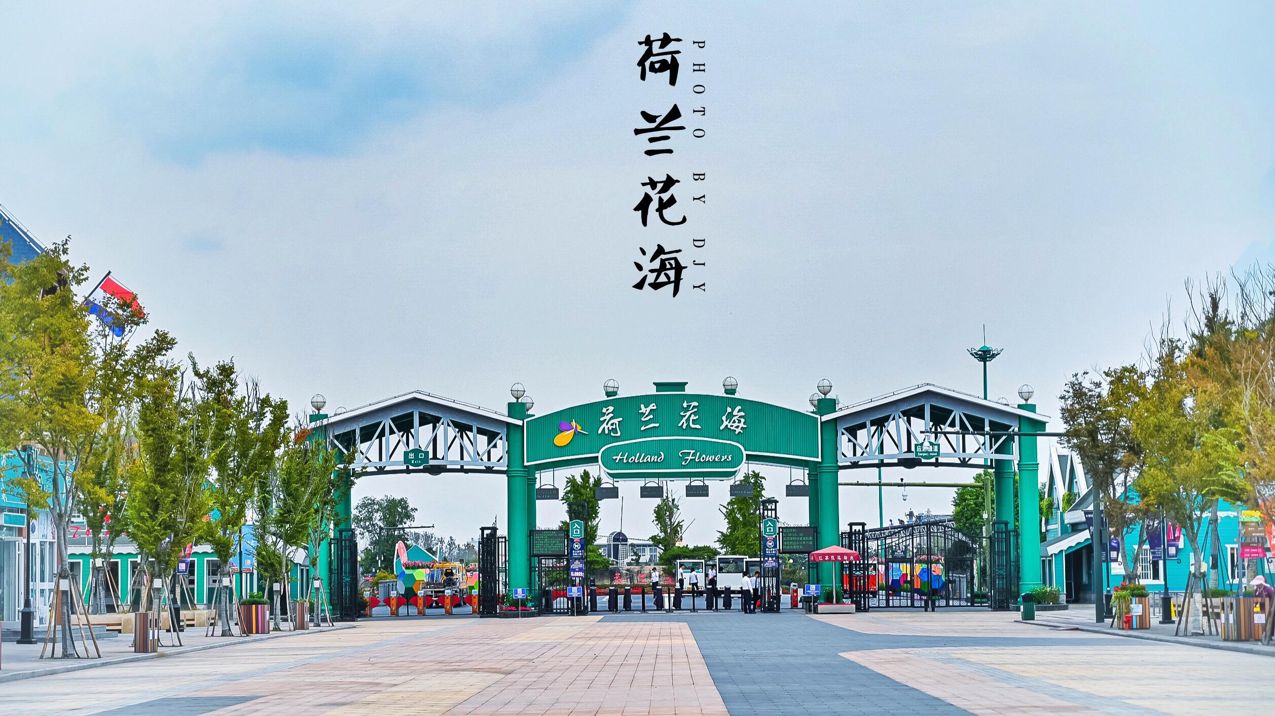 荷兰花海适合几月去（盐城荷兰花海景点介绍）