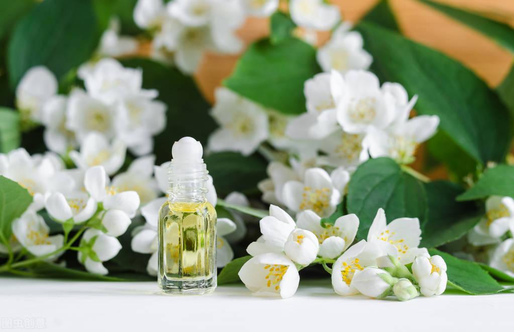 家里养茉莉花好吗