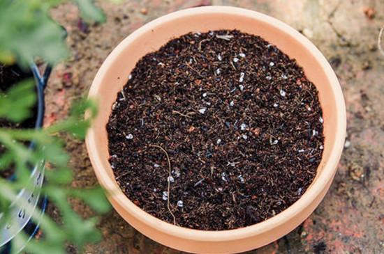 怎么把黄土改良成肥沃的黑土