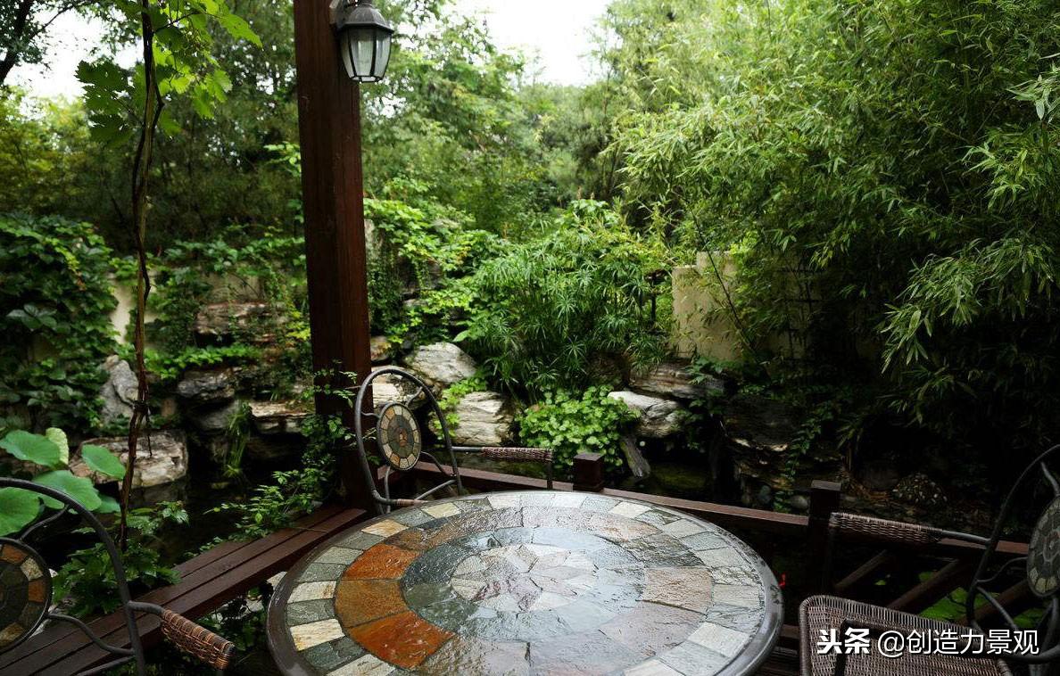风水上为什么不能养藤蔓植物的原因