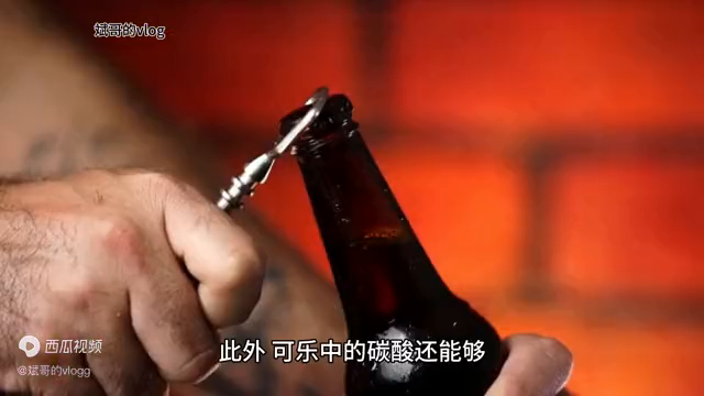 可乐浇花适合哪些植物