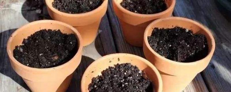 怎么把黄土改良成肥沃的黑土