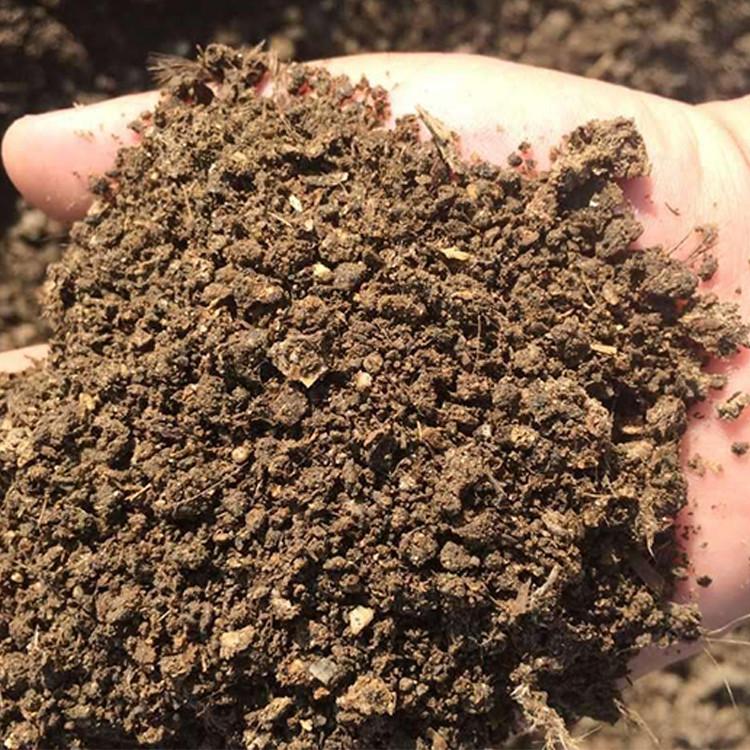 花施肥用什么肥料最好