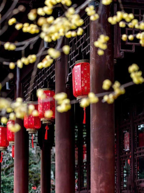 腊梅树什么时候开花结果