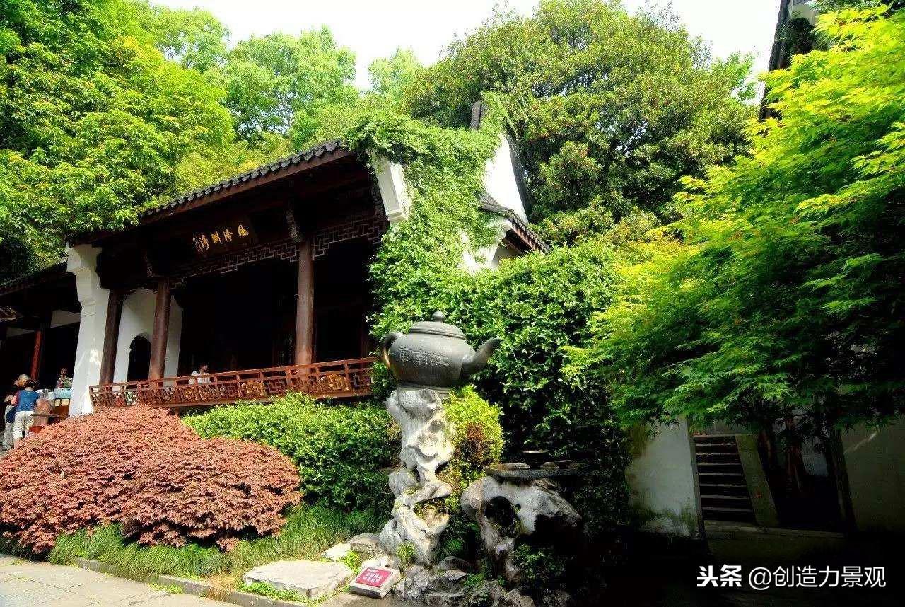 风水上为什么不能养藤蔓植物的原因