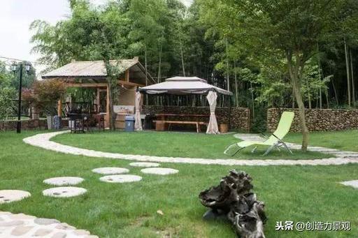 风水上为什么不能养藤蔓植物的原因