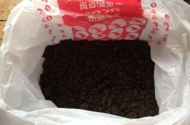 隔夜茶水浇花的正确方法