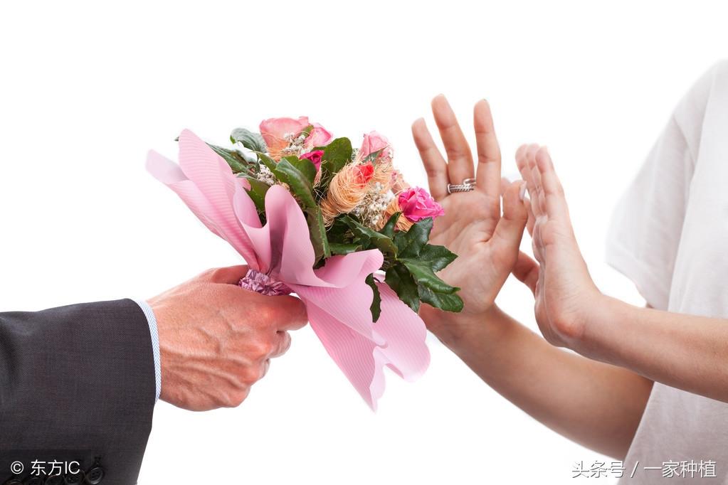 家里不能放假花有什么讲究