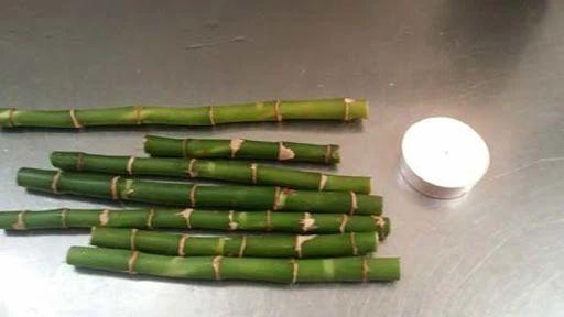 富贵竹剪下的杆能用水养活吗