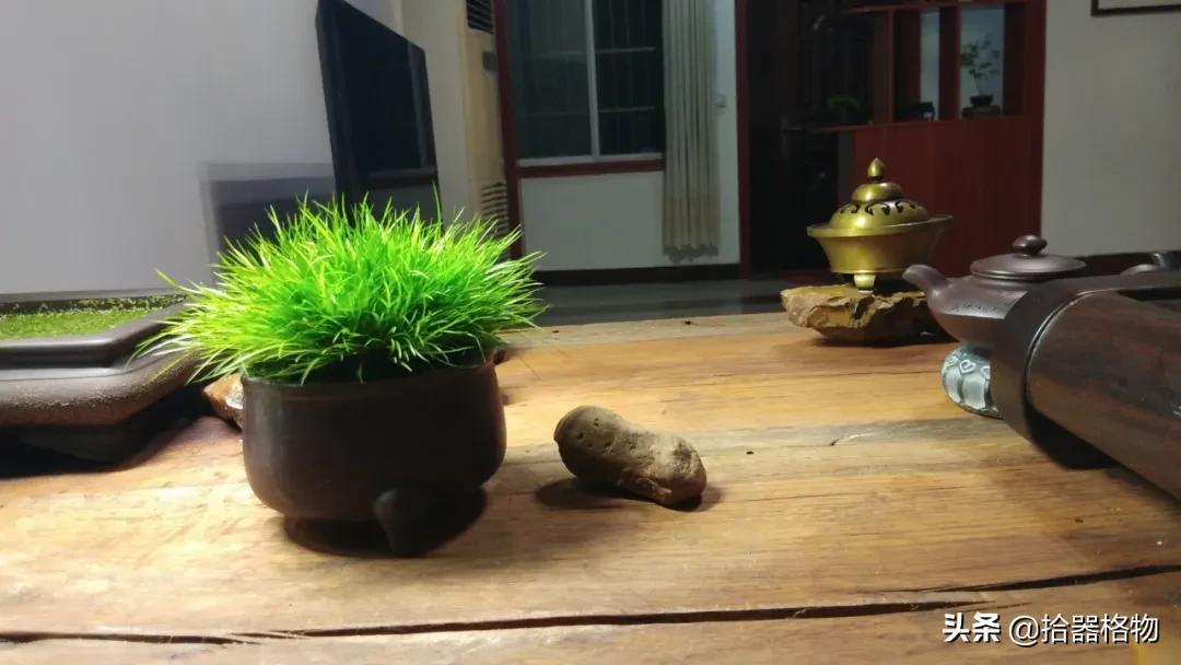 菖蒲的养殖方法及注意事项