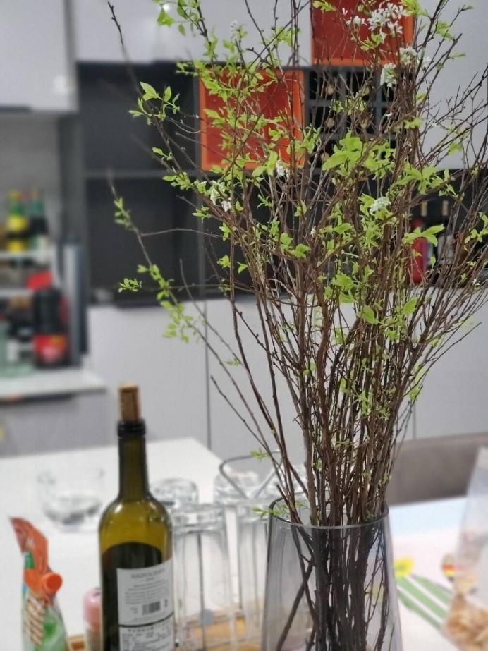 雪柳干枝怎么养多久能开花