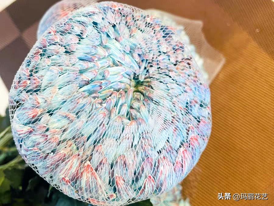 牡丹菊的花语和寓意