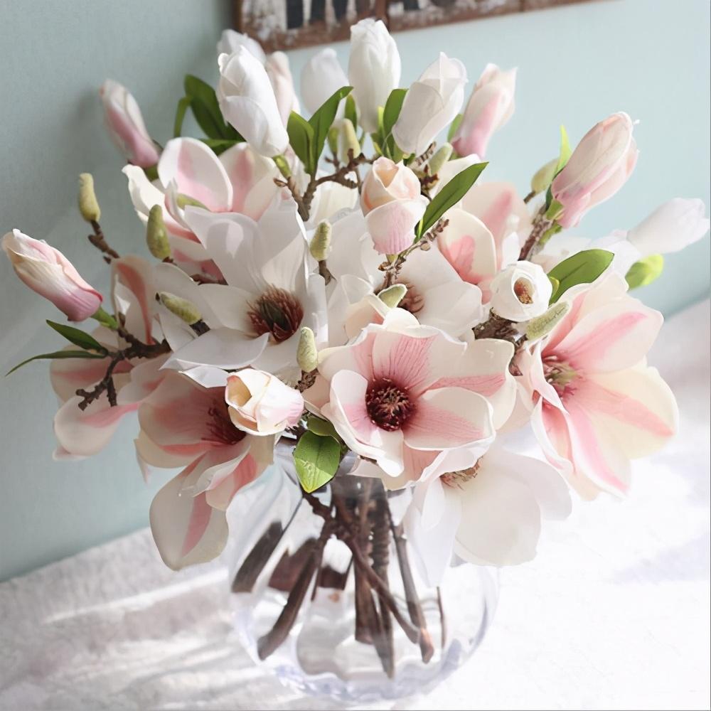 望春玉兰花语是什么