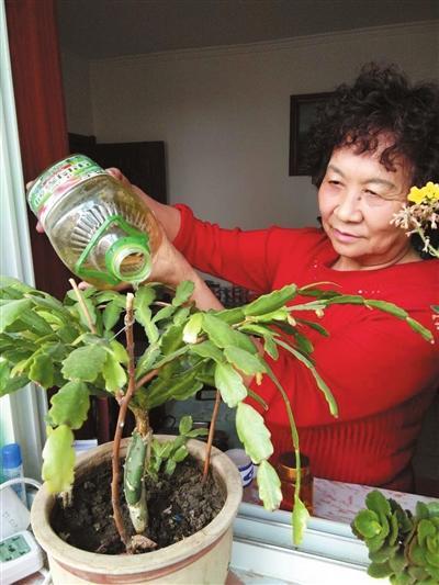 怎么养花才能更旺盛一点