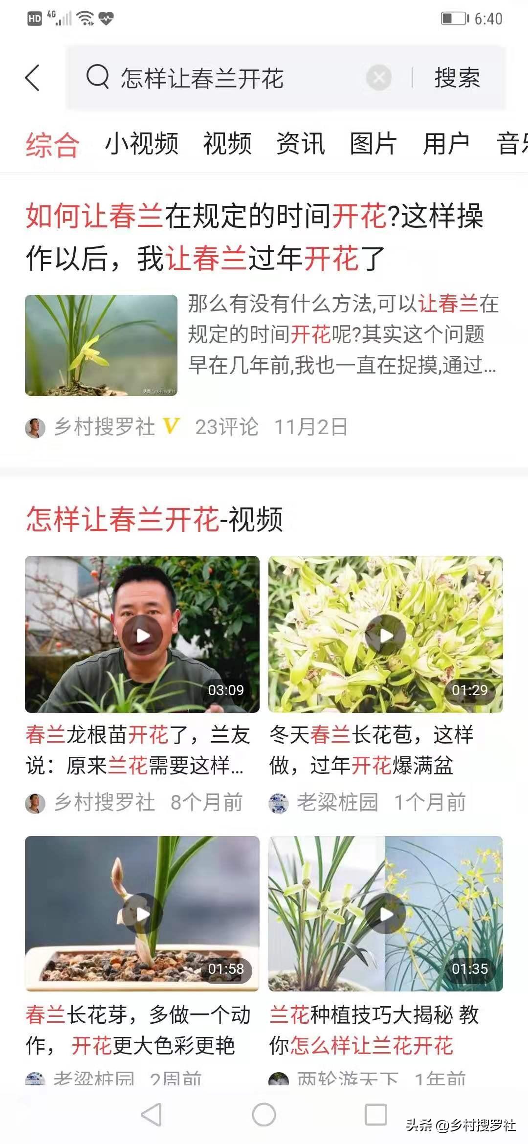 野生兰花怎么在家养才能开花多
