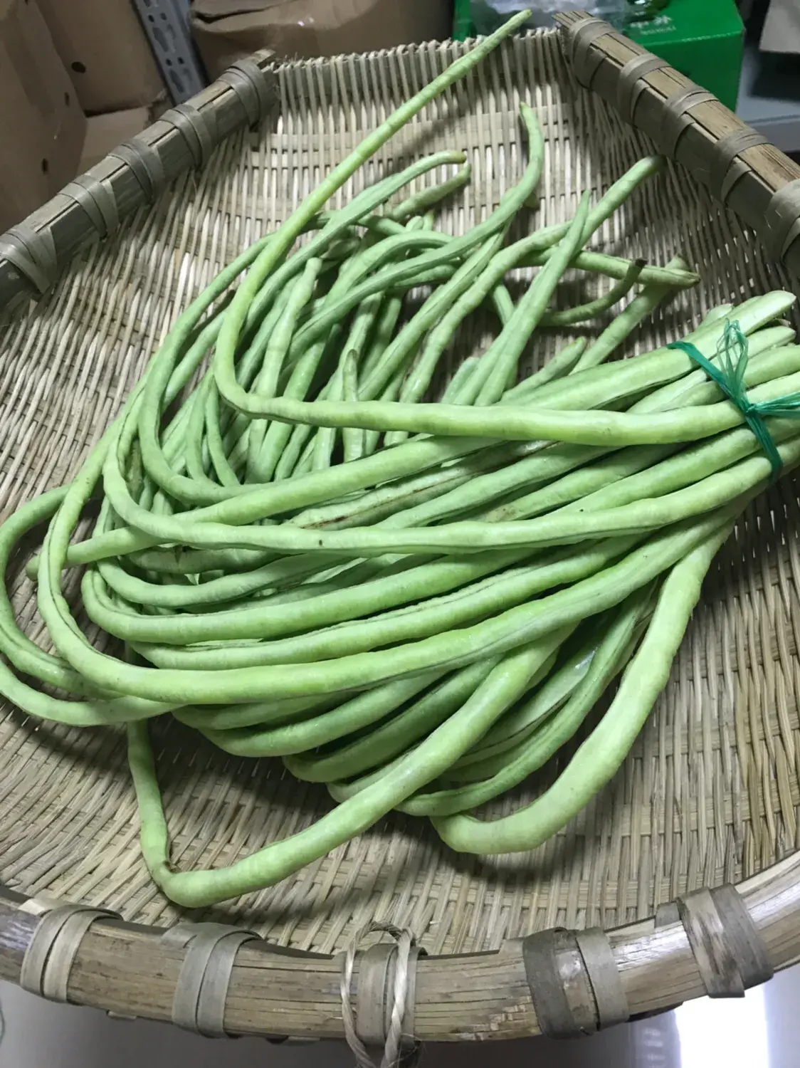 豇豆什么时候种植最好