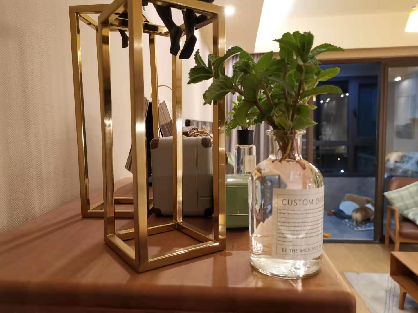 薄荷喜阴还是喜阳