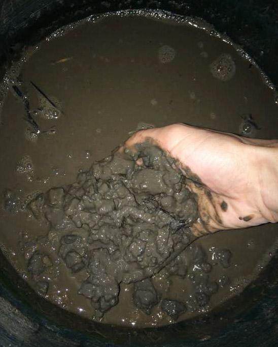 睡莲不开花是什么原因造成的