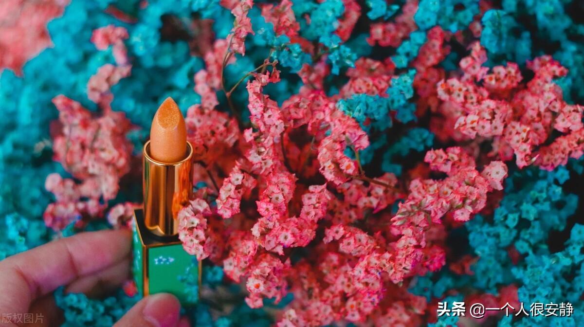 紫色满天星花语和寓意是什么
