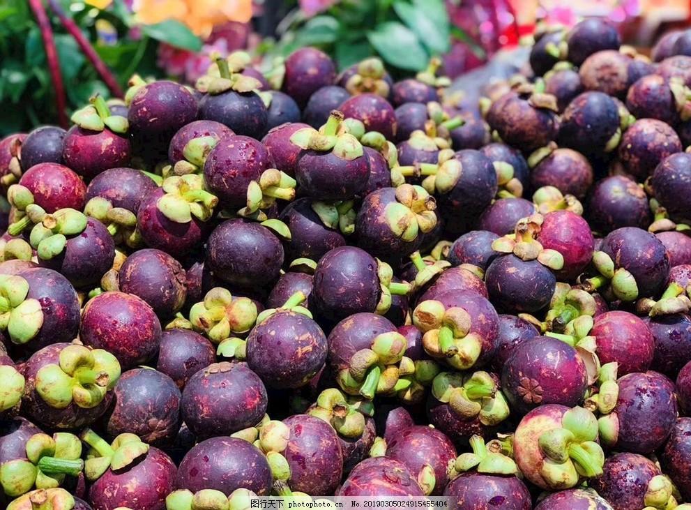 山竹树的种植方法和过程