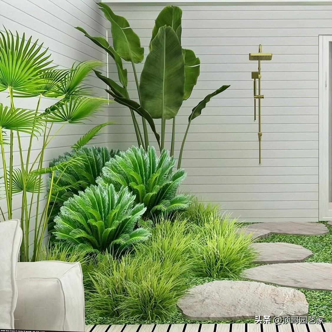 围栏种什么植物好看
