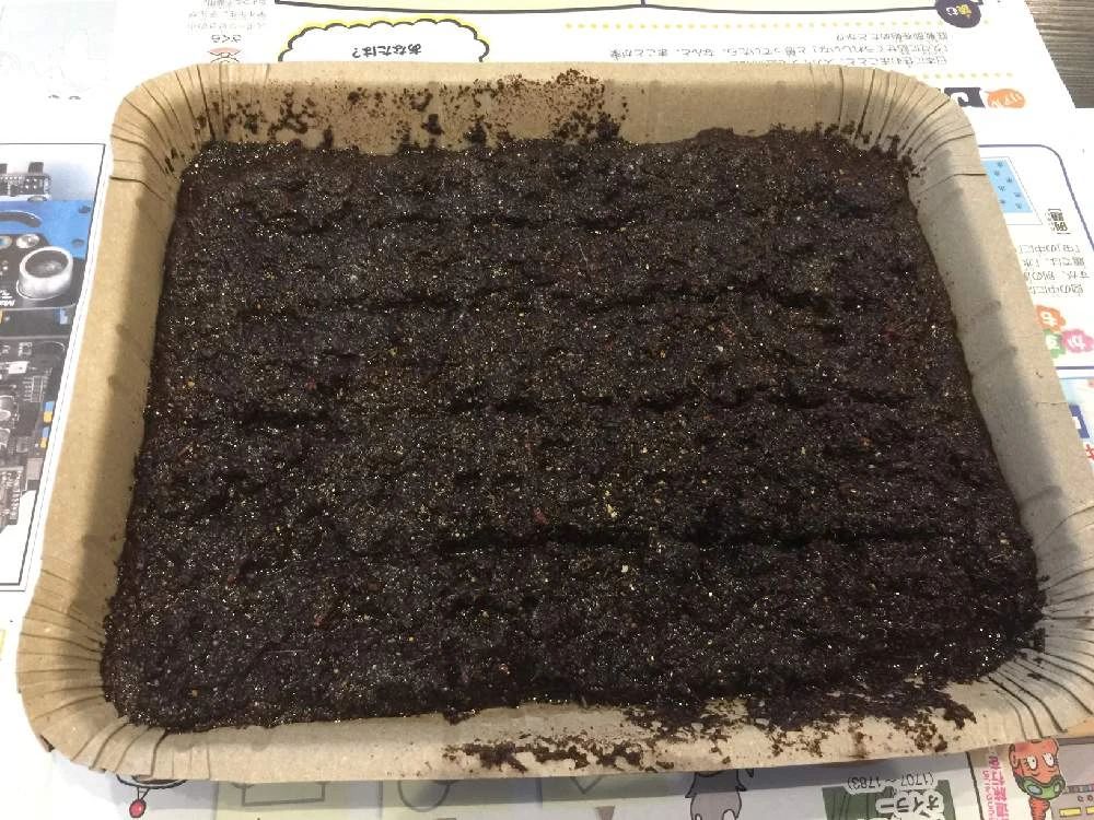 新手种花种子入门建议怎么写