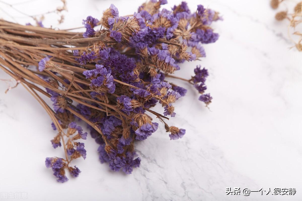 满天星紫色花语是什么意思
