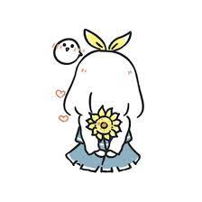 花卉信息