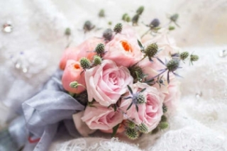 粉玫瑰花的花语是什么