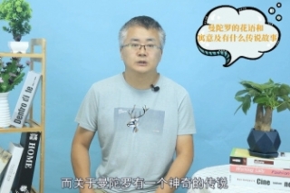 曼陀罗的花语和寓意及有什么传说故事