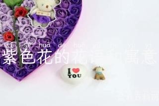 紫色花的花语和寓意