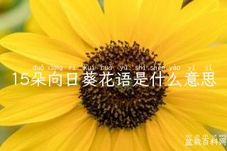 15朵向日葵花语是什么意思