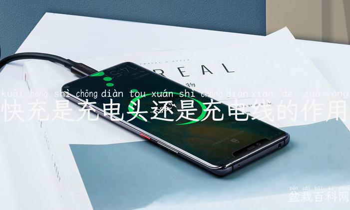 快充是充电头还是充电线的作用