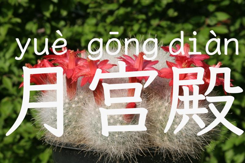 月宫殿