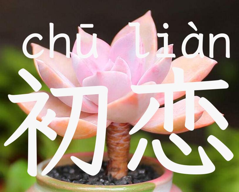 初恋