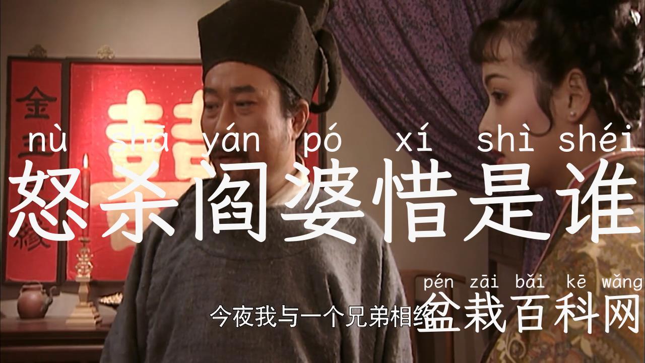 怒杀阎婆惜是谁