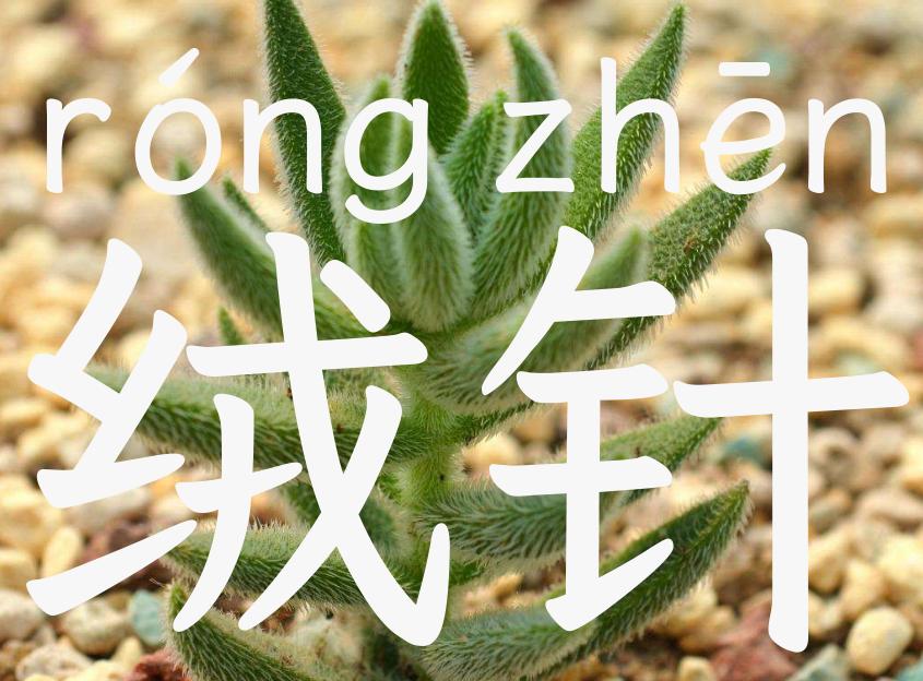 绒针