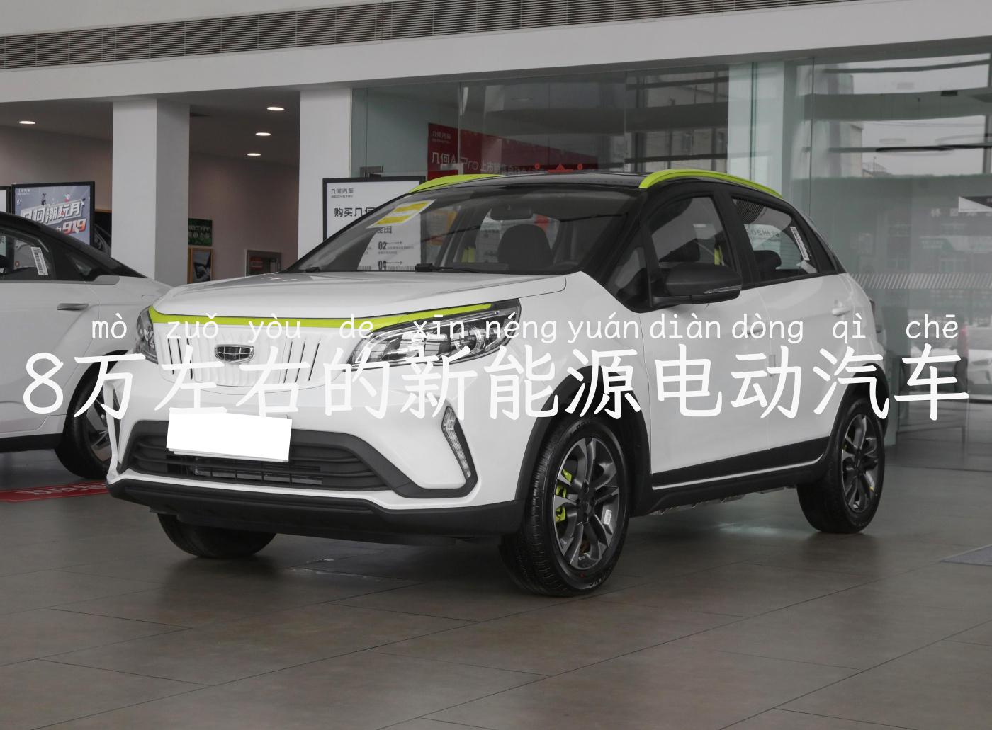 8万左右的新能源电动汽车