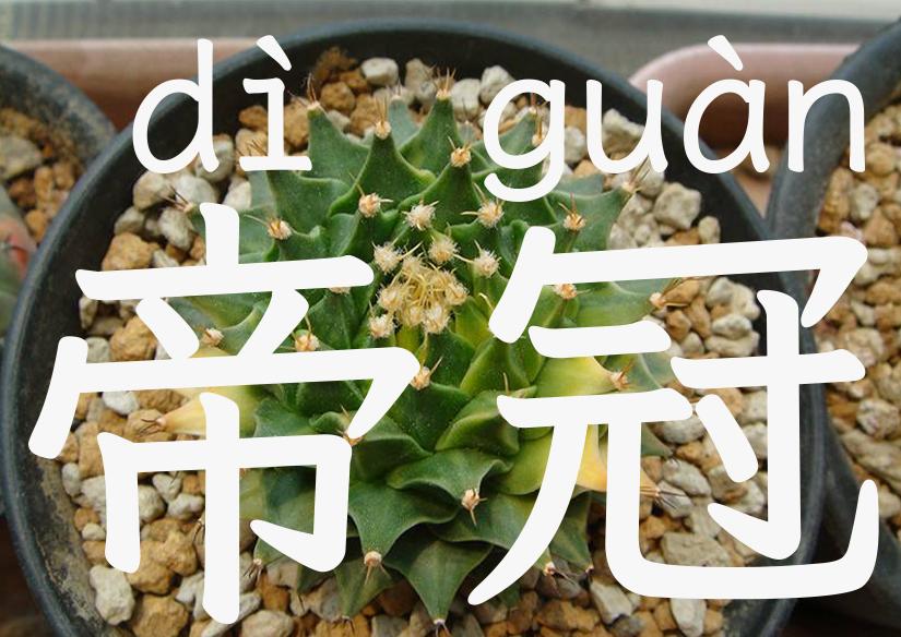 帝冠