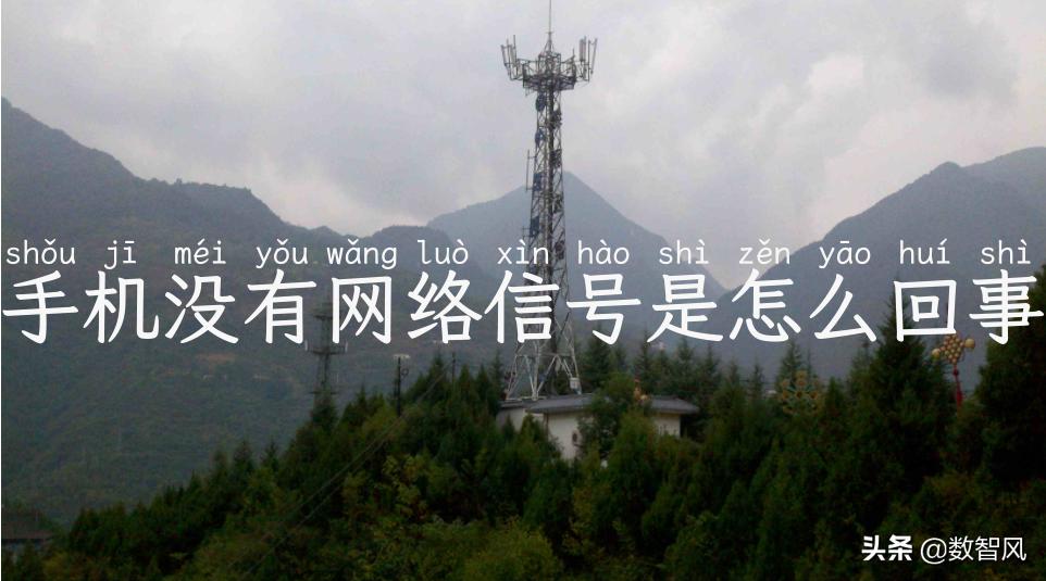 手机没有网络信号是怎么回事