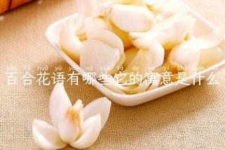 百合花语有哪些它的寓意是什么
